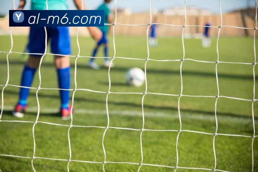 M6体育注册品牌故事